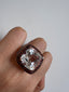 Lisa Ring